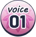 Voice01